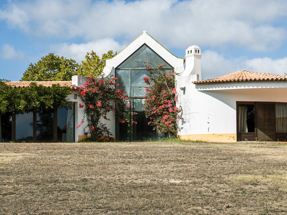 Farm i Obidos, Leiria - foto 4